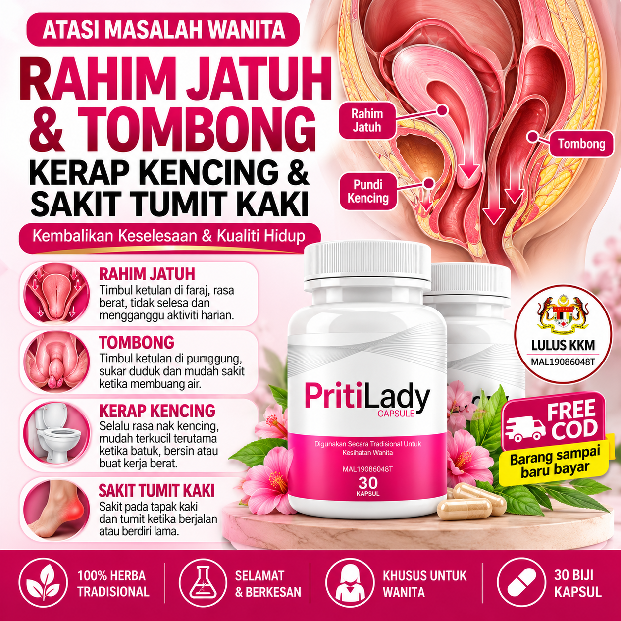 Kapsul Priti Lady
